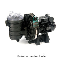 Pompe de filtration Sta-Rite version eau douce tri 5P2R