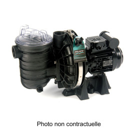 Pompe de filtration Sta-Rite version eau douce tri 5P2R