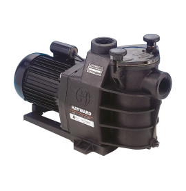 Pompe de filtration Max-Flo Hayward