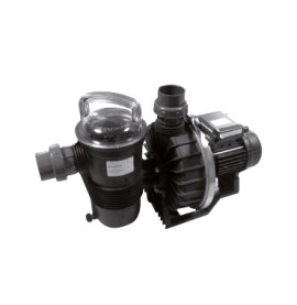 Pompe de filtration Challenger Pentair C'line