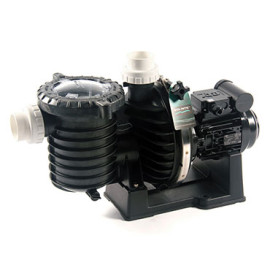 Pompe de filtration mono 5P6R Sta-Rite 