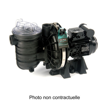 Pompe de filtration Sta-Rite version eau douce tri 5P2R
