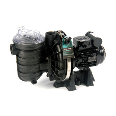 Pompe de filtration Sta-Rite 5P2R