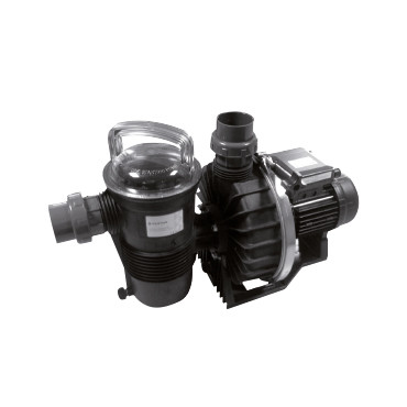 Pompe de filtration Challenger Pentair C'line